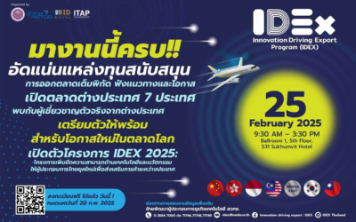 โครงการ IDEX 2025